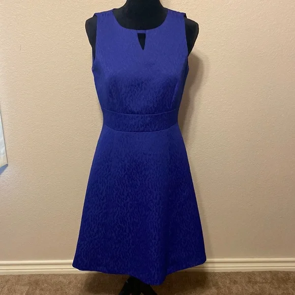 Tahari Blue Flare Dress - Picture 1 of 8
